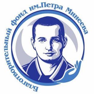 Статистика Дзен Благотворительный фонд Петра Минеева