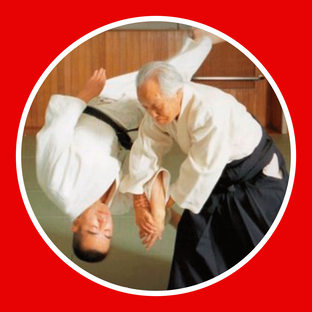 Дзен AYF Айкидо Ёшинкан Самара статистика