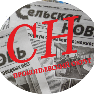 Статистика Дзен Сельская новь (Прокопьевский муниципальный округ)