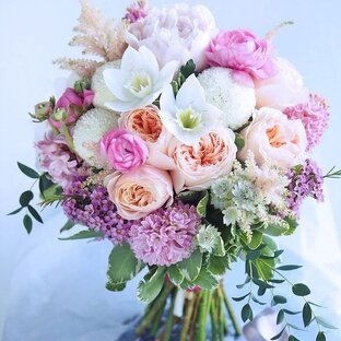 Дзен Зуля Умярова статистика