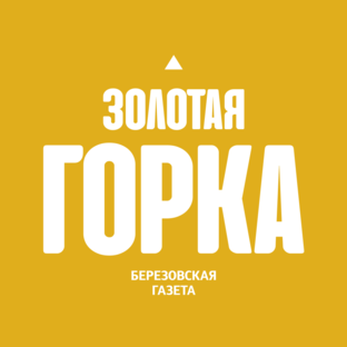 Статистика Дзен ZG66