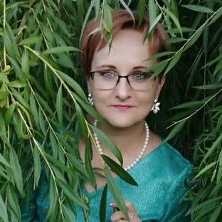 Статистика Дзен Записки Германа
