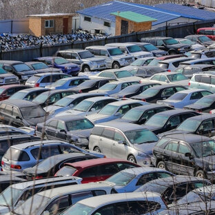 Дзен Japanese Auto статистика