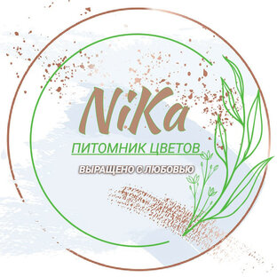Статистика Дзен Питомник цветов «НИКА»