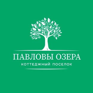 Статистика Дзен Павловы Озёра