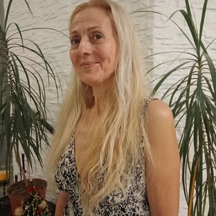 Статистика Дзен Жизнь в доме