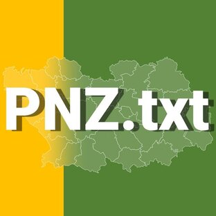 Статистика Дзен PNZ.txt