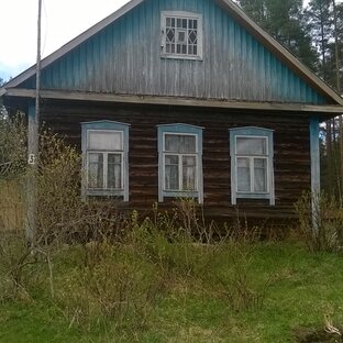 Статистика Дзен Дилетанты в деревне