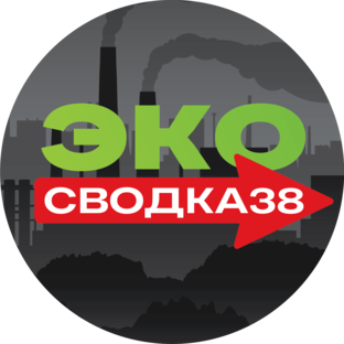 Статистика Дзен ЭКОсводка38