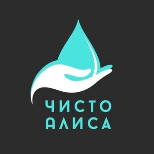 Статистика Дзен Чисто Алиса