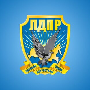 Статистика Дзен ЛДПР Сахалинская область