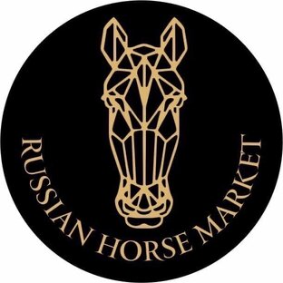 Статистика Дзен ПРОДАЖА ЛОШАДЕЙ