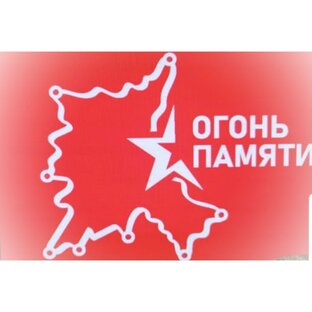 Статистика Дзен Общественное движение Огонь Памяти