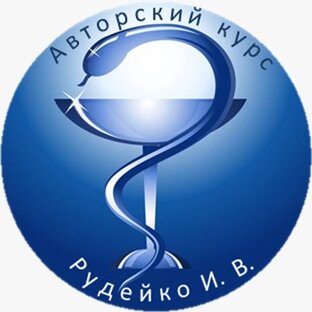 Статистика Дзен Авторский курс Рудейко И. В.