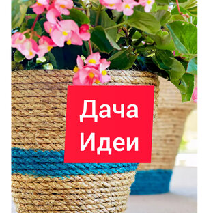 Дзен Дача Идеи статистика