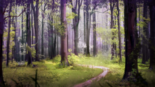 клипы, арты не вошедшие в книгу