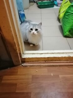 #1. Передержка Рината. Север. 