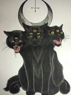 Смех/приколы/мемы 