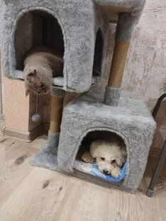 А это мы)) 