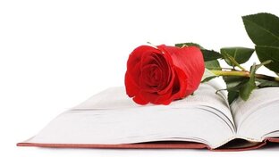 Обзор кинофильмов и книг