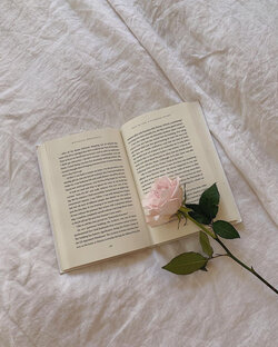 Книги уникальные и книги масс-маркета 