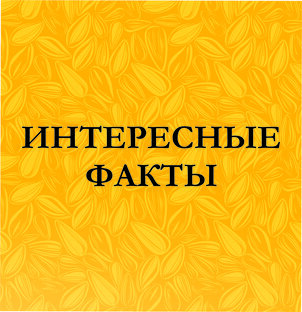 Интересные факты