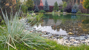 Декоративный водоём