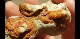 Минералогия, палеонтология