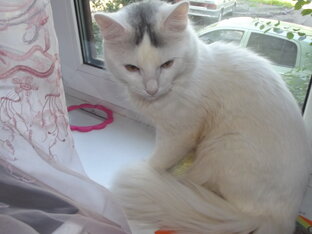 Ваш надёжный доход