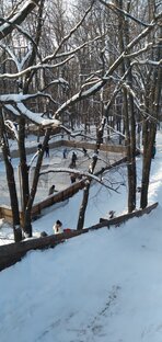 Красота красивая