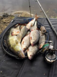 Фидер - наше все