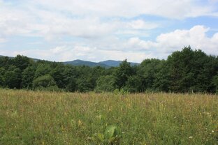 Проблемы собственников земли