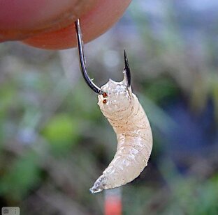 Уловистые насадки