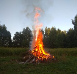 Страсти-мордасти