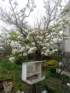 Календарь садовода-огородника | Gardener Calendar