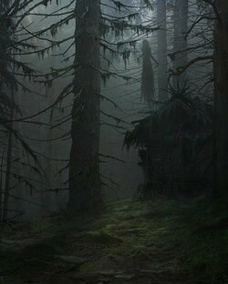 Страшные Истории: Темный лес