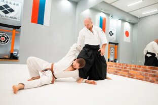 Статьи Станислава Копина