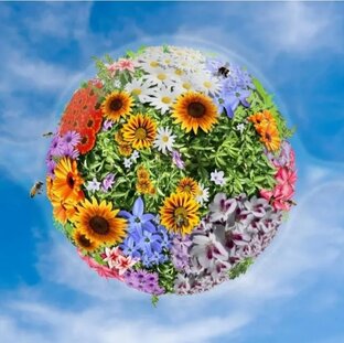 Я люблю тебя жизнь и надеюсь, что это взаимно