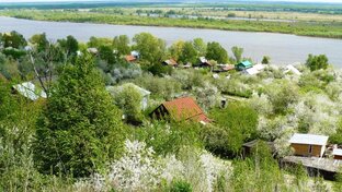 Елатьма сегодня
