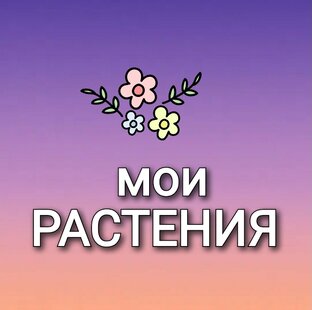 Тут про то, что я сажаю и выращиваю