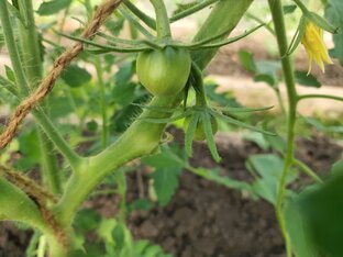 Ожидание и реальность