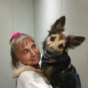 Романтические отношения