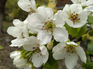 Мечты и демоны, рассказы