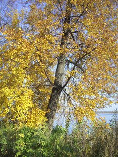 Христианские стихи об осени