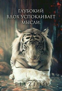 Саморазвитие