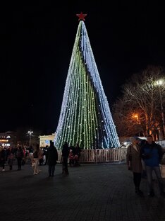 Новогодняя елка