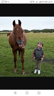 Смешные истории.