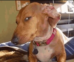 Попробуй не ЗАСМЕЯТСЯ