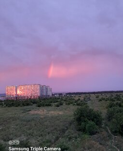 Заметки из окна 
