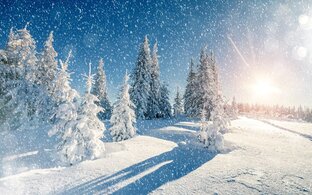 Красота природы